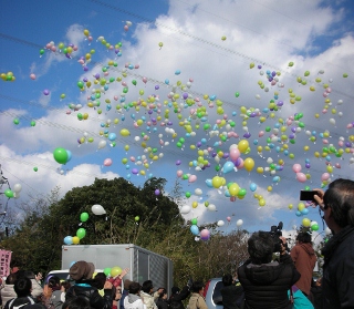 DSCN3324.jpg（320px × 279px）