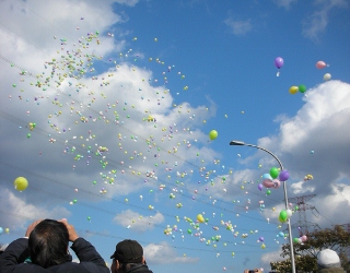 DSCN3325.jpg（320px × 250px）